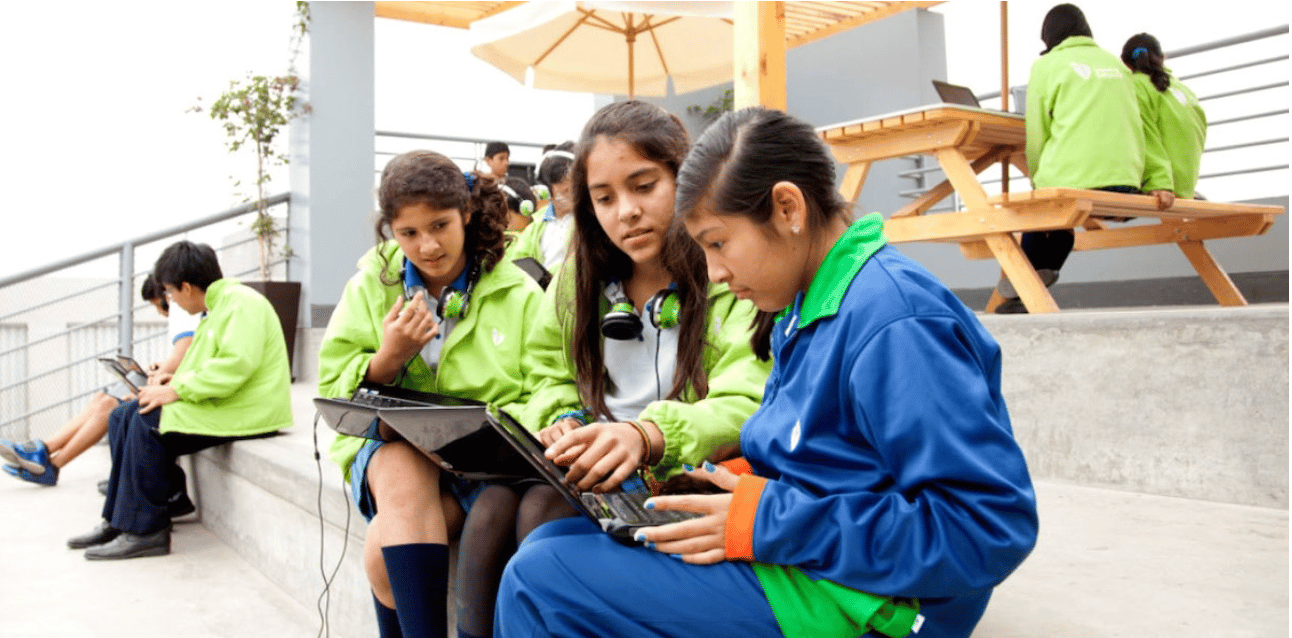 An illustrative sketch of a flower